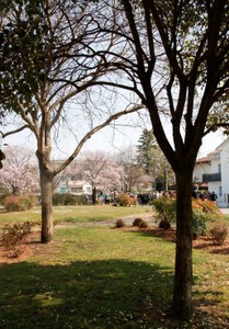 Giardini  sen Bruno Giust B031.jpg