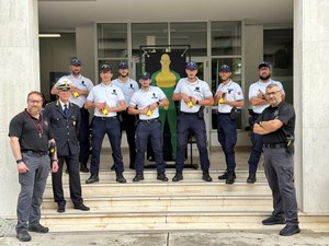 Corso pistola a impulsi elettrici.jpg