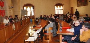 Famiglie affidatarie