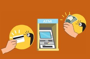 Antitruffa Cattura.JPG