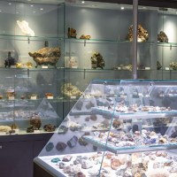 Museo civico di storia naturale Silvia Zenari